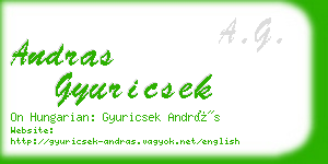 andras gyuricsek business card